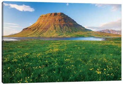 Buttercup Meadow I, Kirkjufell, Grundarfjordur, Snaefellsnes Peninsula, Vesturland, Iceland Canvas Art Print - River, Creek & Stream Art