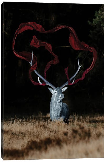 Magic Deer Canvas Art Print - Gabriel Avram