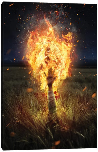 Burning Like Hell Canvas Art Print - Gabriel Avram