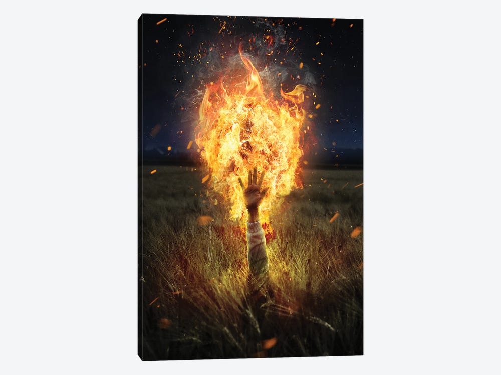 Burning Like Hell by Gabriel Avram 1-piece Canvas Art