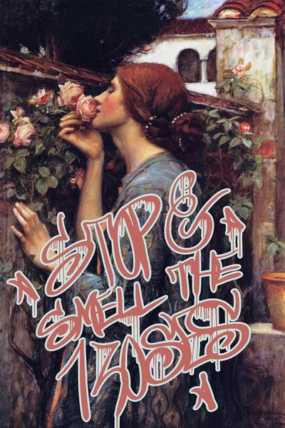 Stop and Smell the Roses by 5by5collective framed canvas print