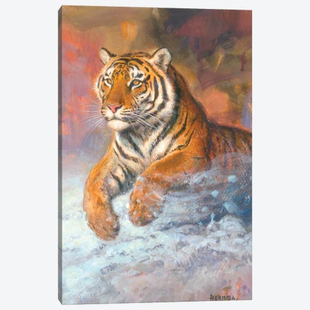 Siberian Tiger Canvas Print #GBH10} by Gabriel Hermida Canvas Art Print