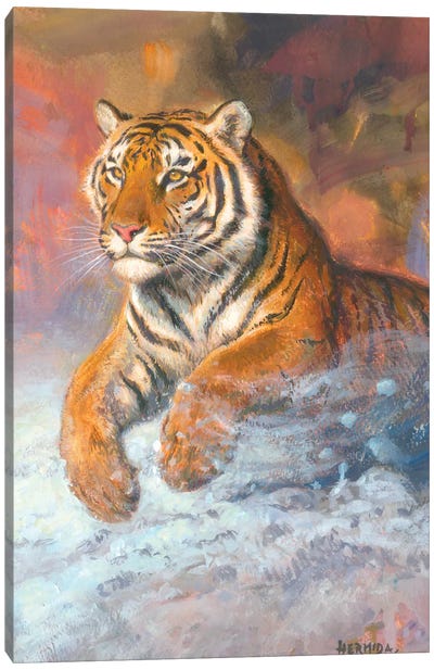 Siberian Tiger Canvas Art Print - Gabriel Hermida