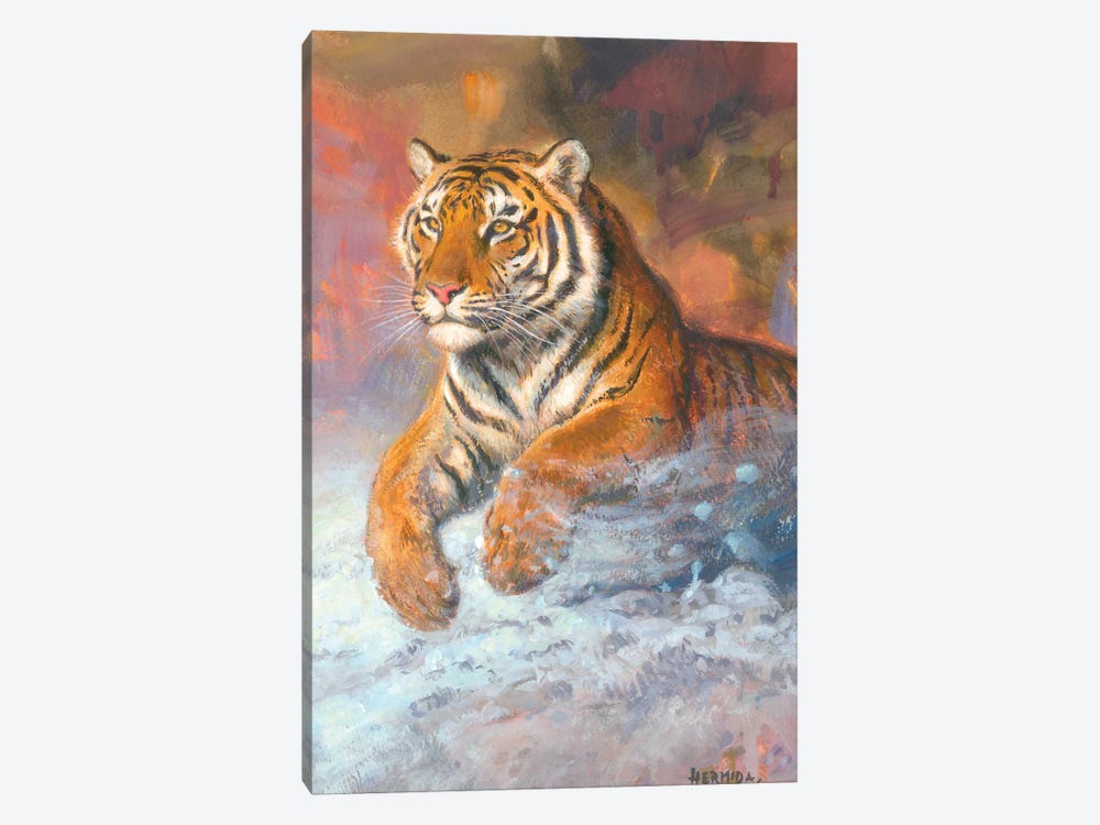 Siberian Tiger by Gabriel Hermida 1-piece Canvas Print