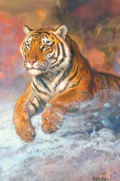 Gabriel Hermida: Siberian Tiger by Gabriel Hermida