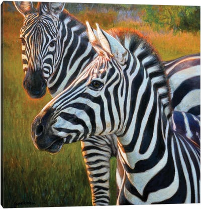 At Sunset Canvas Art Print - Zebra Art