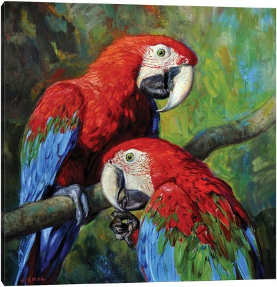 Red Macaws Canvas Art Print - Macaw Art