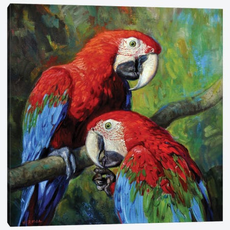 Red Macaws Canvas Print #GBH12} by Gabriel Hermida Art Print