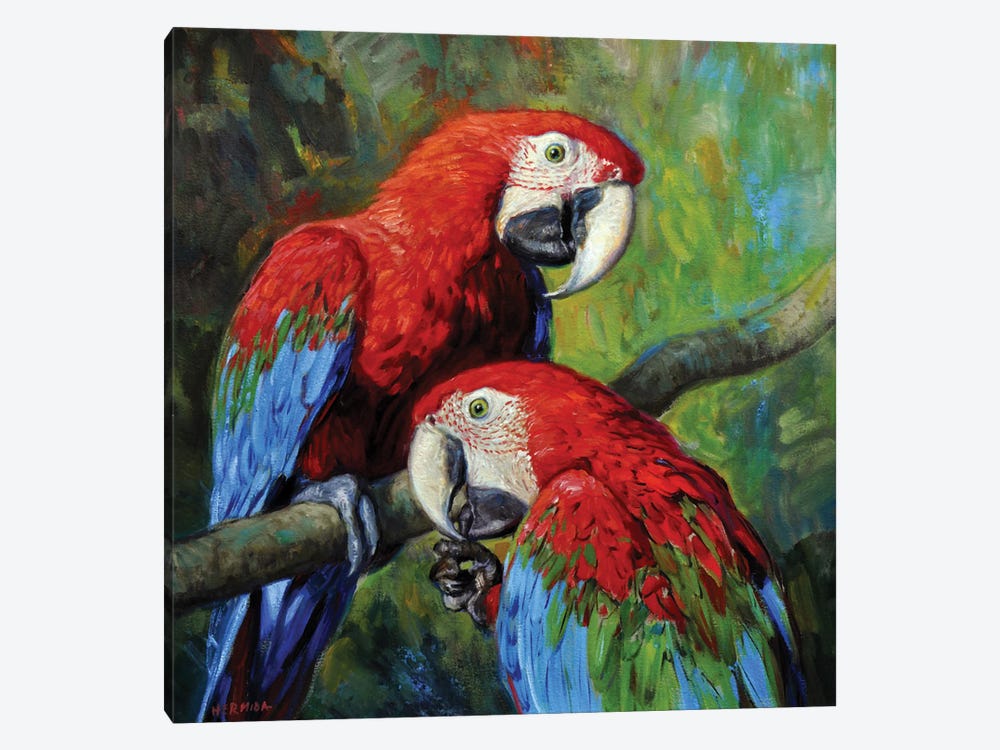 Red Macaws by Gabriel Hermida 1-piece Canvas Art Print