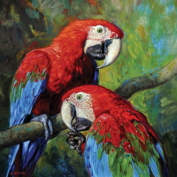 Gabriel Hermida: Red Macaws by Gabriel Hermida