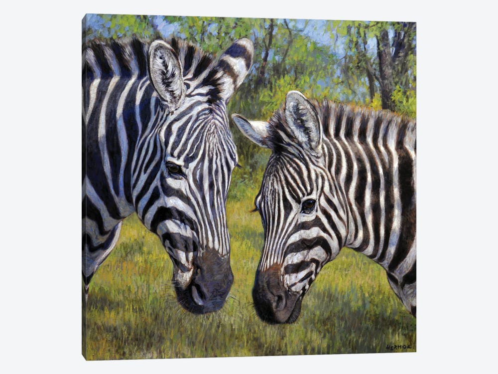Zebras In The Thick Bush by Gabriel Hermida 1-piece Canvas Print