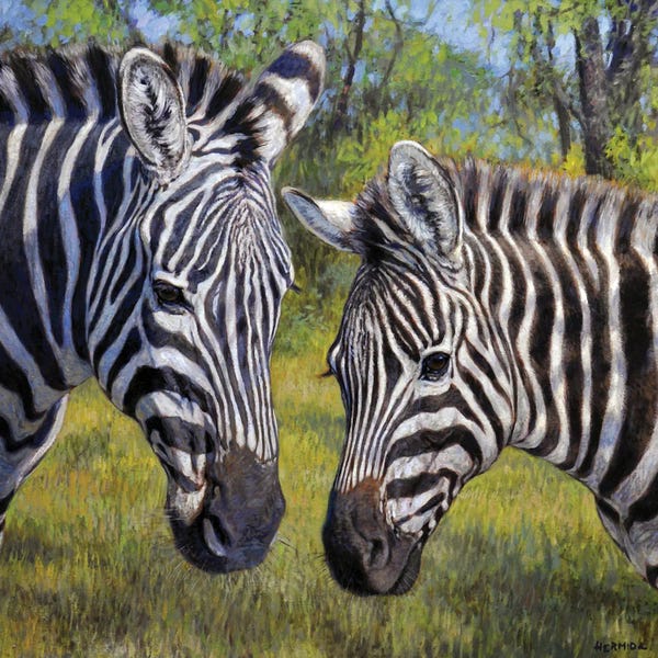 Gabriel Hermida: Zebras In The Thick Bush by Gabriel Hermida