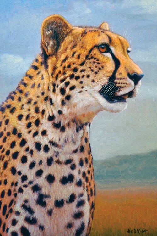 Cheetah II