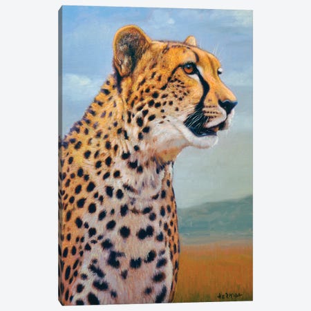 Cheetah II Canvas Print #GBH15} by Gabriel Hermida Canvas Artwork
