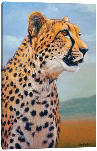 Cheetah II Canvas Art Print - Wild Cat Art