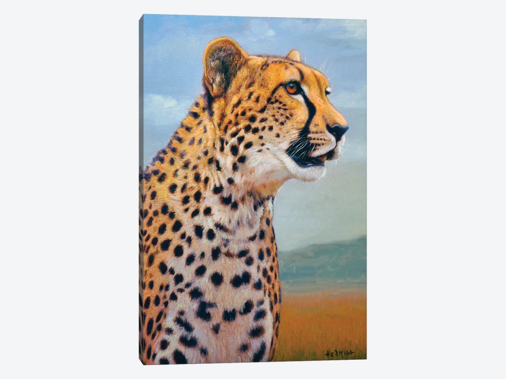 Cheetah II by Gabriel Hermida 1-piece Canvas Wall Art