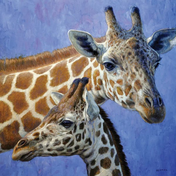 Gabriel Hermida: Special Bond II by Gabriel Hermida