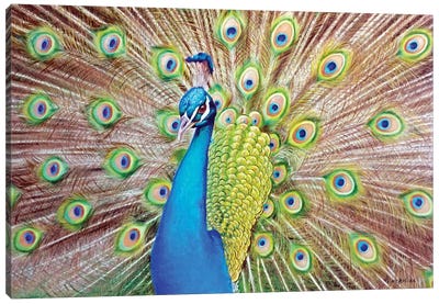 Ostentatious Canvas Art Print - Peacock Art