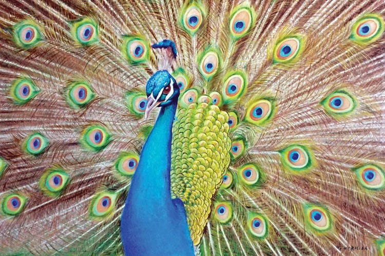 Ostentatious by Gabriel Hermida wall art