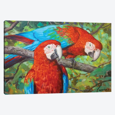 Red Macaws II Canvas Print #GBH19} by Gabriel Hermida Art Print