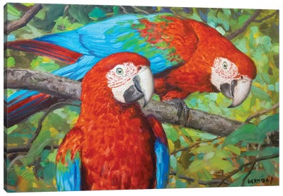 Red Macaws II Canvas Art Print - Macaw Art