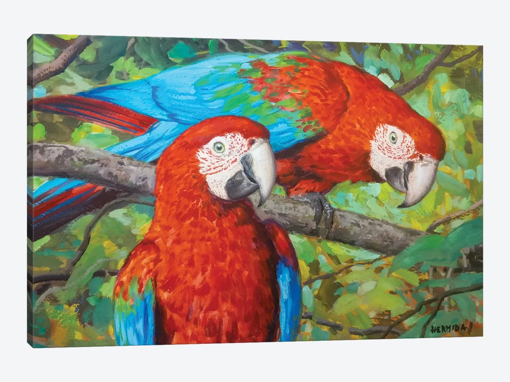 Red Macaws II by Gabriel Hermida 1-piece Canvas Artwork