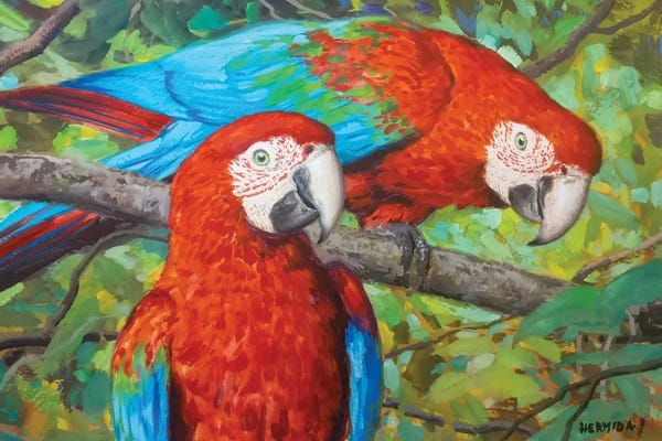 Gabriel Hermida: Red Macaws II by Gabriel Hermida