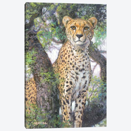 Cheetah Canvas Print #GBH1} by Gabriel Hermida Canvas Artwork