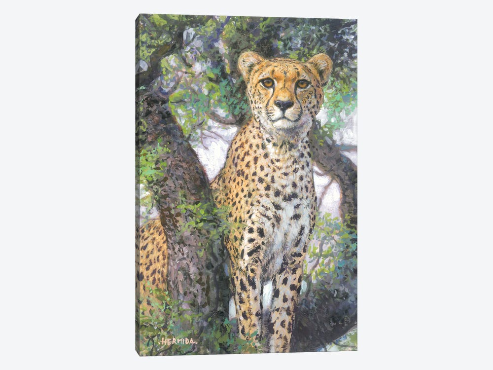Cheetah by Gabriel Hermida 1-piece Art Print