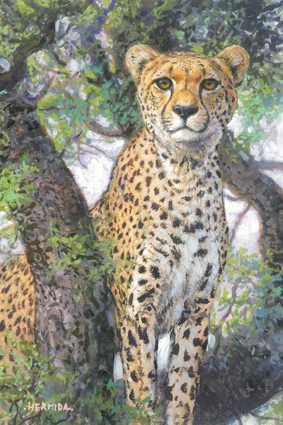 Emotive Animals: Cheetah by Gabriel Hermida