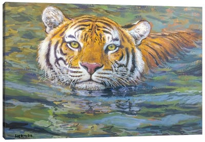 Tiger Swimming Canvas Art Print - Gabriel Hermida