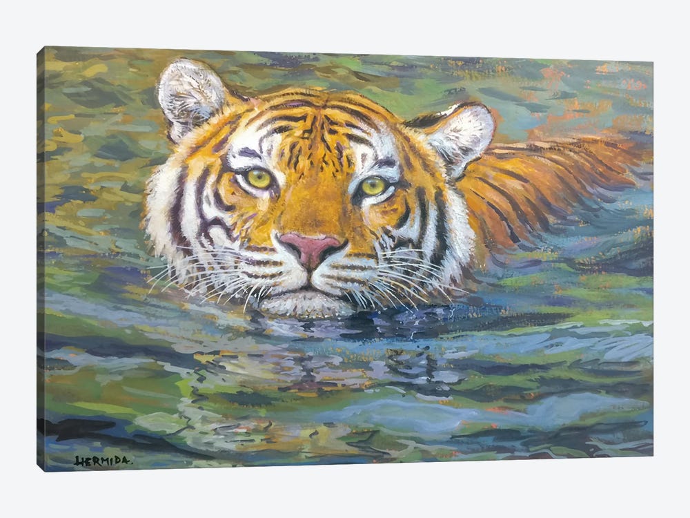 Tiger Swimming by Gabriel Hermida 1-piece Canvas Art Print