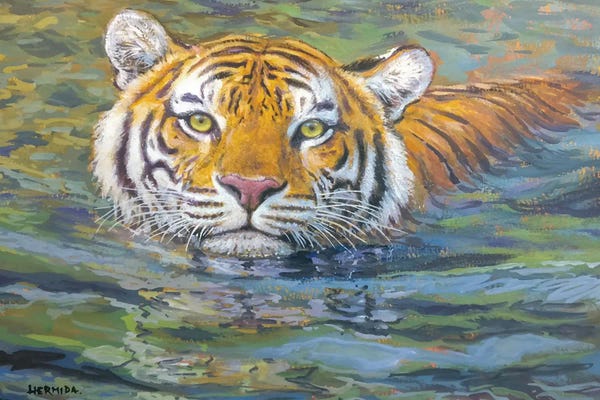 Gabriel Hermida: Tiger Swimming by Gabriel Hermida