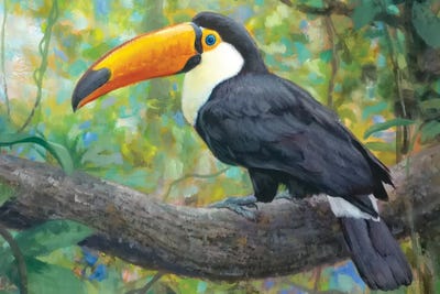 Toucan II by Gabriel Hermida art print