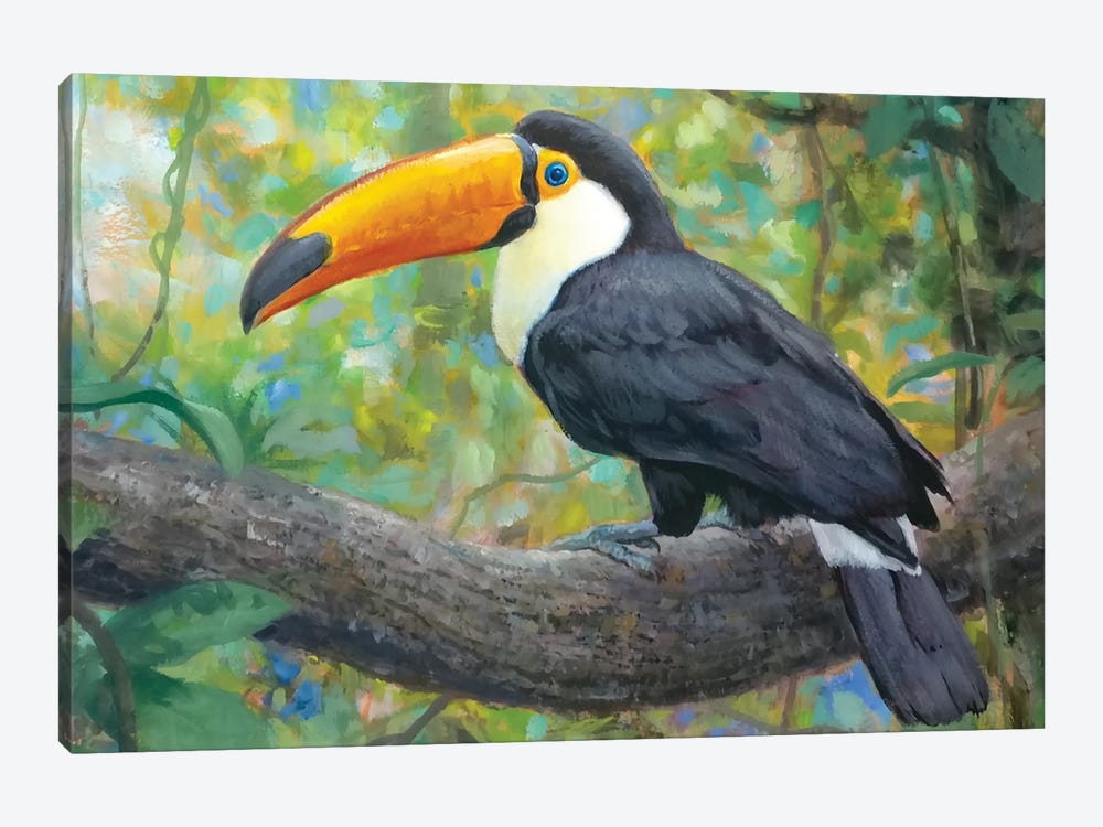 Toucan II by Gabriel Hermida 1-piece Canvas Art