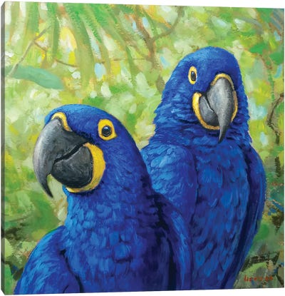 Blue Happiness Canvas Art Print - Emotive Animals