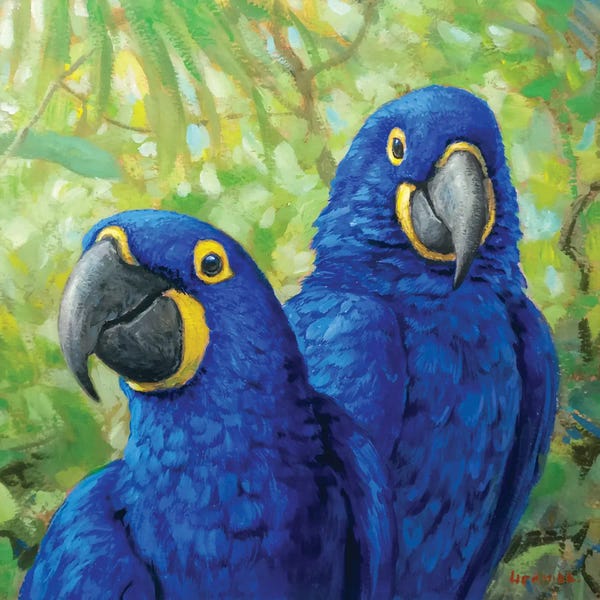 Emotive Animals: Blue Happiness by Gabriel Hermida