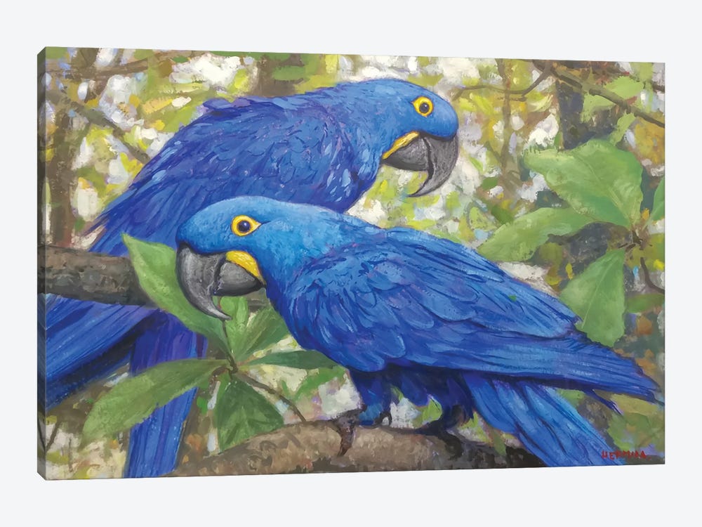 Hyacinth Macaws by Gabriel Hermida 1-piece Canvas Art
