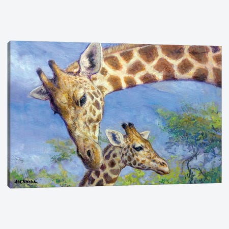 Giraffes Canvas Print #GBH25} by Gabriel Hermida Canvas Art Print