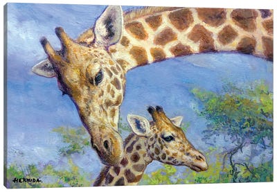 Giraffes Canvas Art Print - Gabriel Hermida