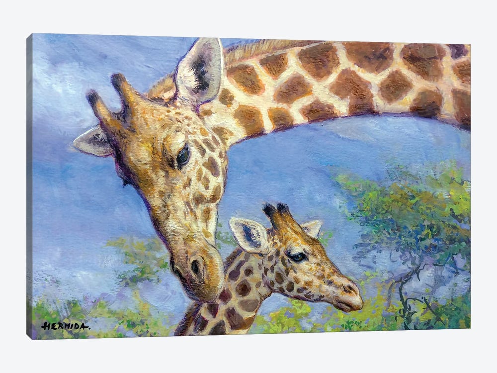 Giraffes by Gabriel Hermida 1-piece Canvas Art Print