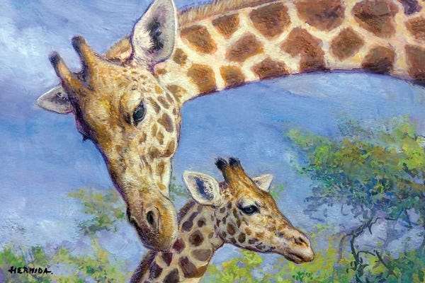 Gabriel Hermida: Giraffes by Gabriel Hermida