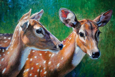 Spotted Deers by Gabriel Hermida framed canvas print