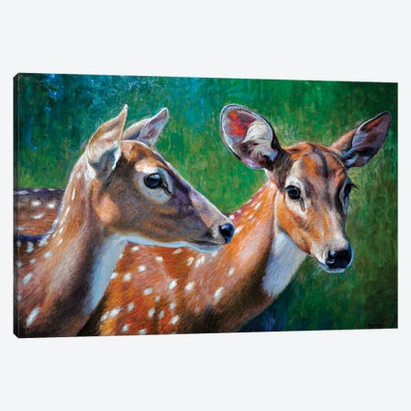 Spotted Deers Canvas Print #GBH26} by Gabriel Hermida Art Print