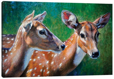 Spotted Deers Canvas Art Print - Gabriel Hermida