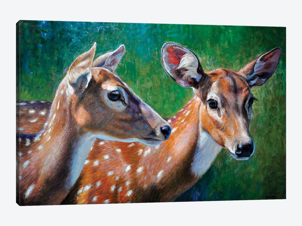 Spotted Deers by Gabriel Hermida 1-piece Canvas Artwork