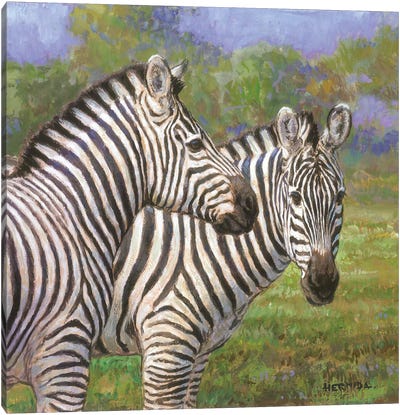 Free In The Savannah II Canvas Art Print - Zebra Art