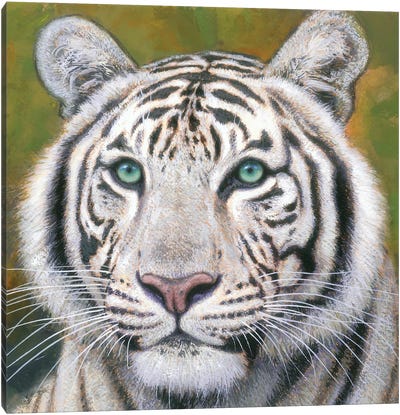 White Tiger Canvas Art Print - Gabriel Hermida