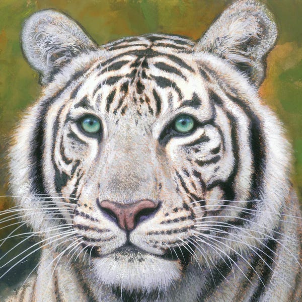 Gabriel Hermida: White Tiger by Gabriel Hermida