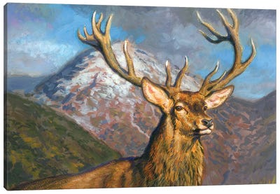 Highland Stag Canvas Art Print - Gabriel Hermida